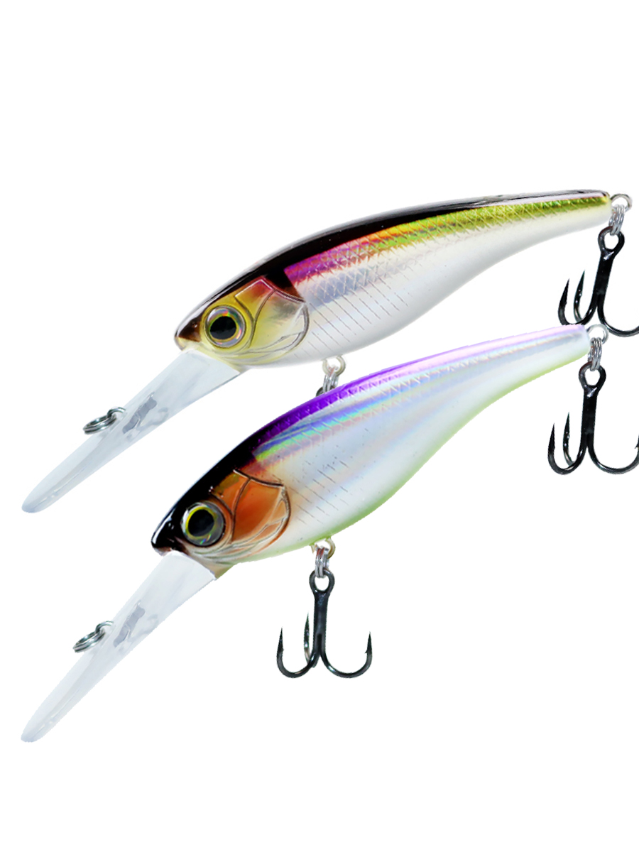 Suspending Minnow Fishing Lure – Fishing Lure Jerkbait Bewertung und Preis