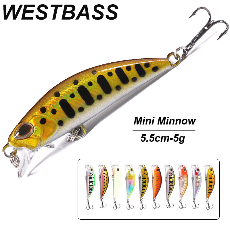 WESTBASS 1PX Micro Minnow Lure – Fishing Lure Popper Bewertung und Preis