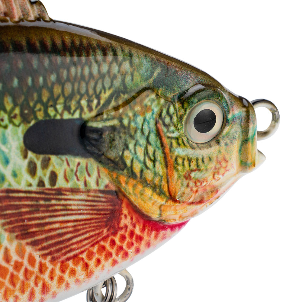 Suspension Fishing Lure 140mm  – Fishing Lure Popper Bewertung und Preis